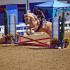 An Introduction to Working Equitation